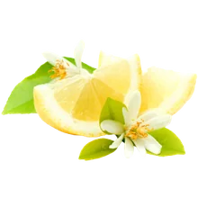 Lămâie