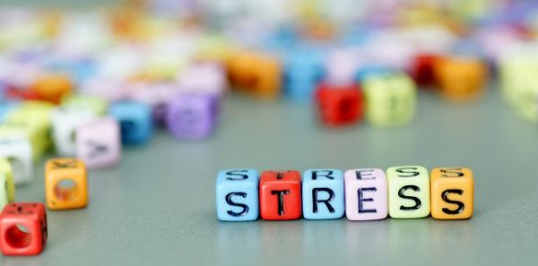 Factori de Stres