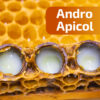Laptisor de matca - ingredient in Andro Apicol 200 ml