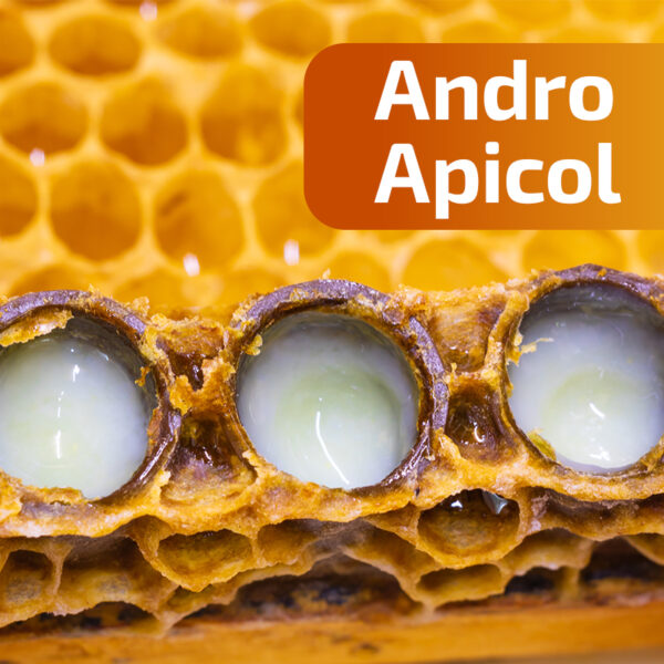 Laptisor de matca - ingredient in Andro Apicol 200 ml