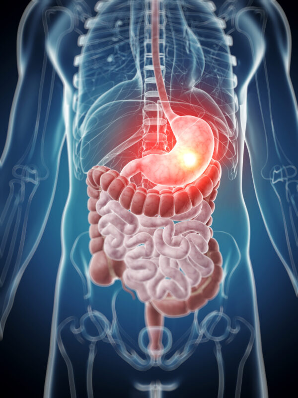 PANCREATIC - 200 ml - Image 2