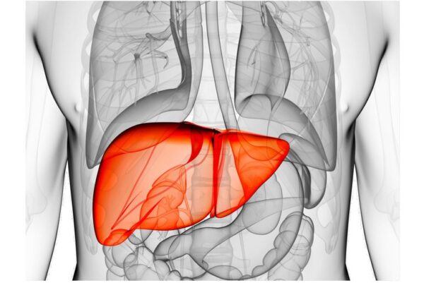 HEPATIC - 200 ml - Image 2