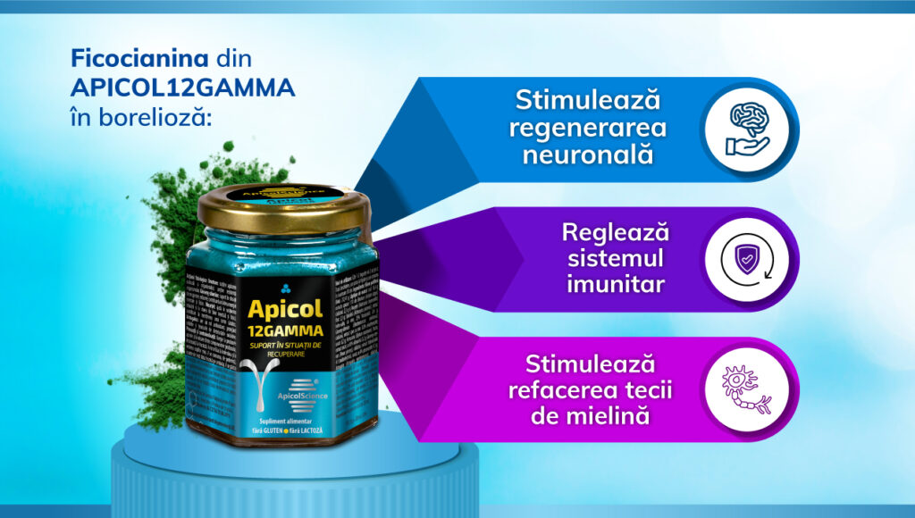 APICOL12GAMMA stimulează refacerea neuronilor și reglează imunitatea în neuroborelioză
