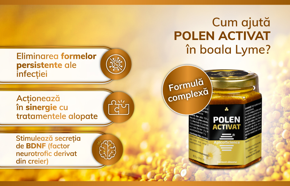 POLENUL ACTIVAT acționează în sinergie cu tratamentele alopate din boala Lyme