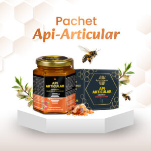 Pachet API ARTICULAR